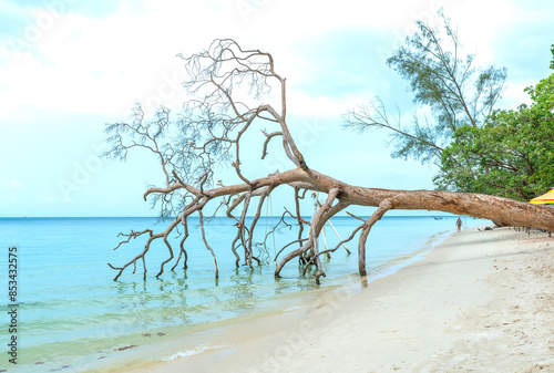 Beautiful beach on sunny morning. Travel discover Phu Quoc Island, Vietnam's great