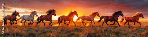 stallion on meadow, horses running at sunrise or sunset. Fantasy Wall Art Poster Print Design for Home Decor, Decoration Artwork, Wallpaper & Background