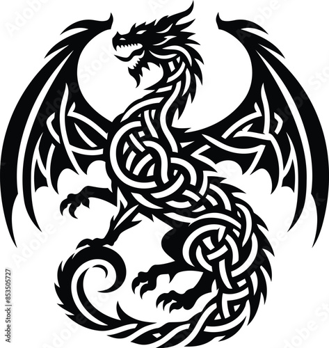 dragon in silhouete with celtic knot pattern illustration