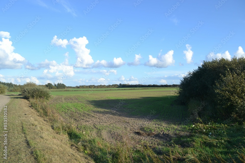Obraz premium Images from the south Denmark nature