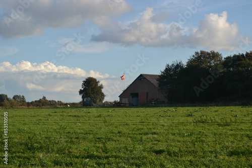 Images from the south Denmark nature