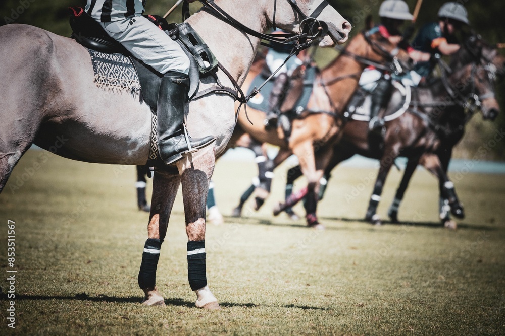 Obraz premium A polo match with players on horseback in action on a sunny day.