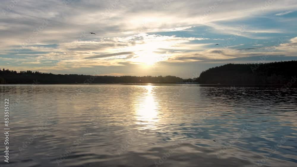Scenic sunset over Puget Sound, with a beautiful sky and calm, reflective water. Birds gracefully fly across the scene, adding a dynamic element to the tranquil and picturesque sunset. Scenic sunset over Puget Sound, with a beautiful sky and calm, reflective water. Birds gracefully fly across the scene, adding a dynamic element to the tranquil and picturesque sunset.