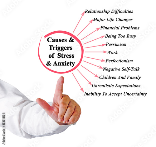  Causes & Triggers of Stress & Anxiety