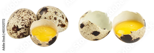Raw quail egg isolated on white background with full depth of field