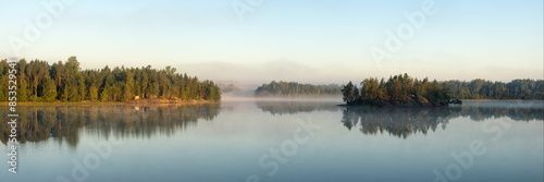 forest lake with fog on a summer morning