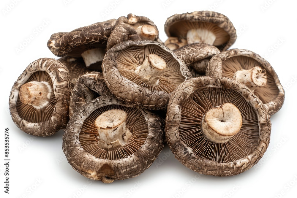 Overhead view of dried shiitake mushrooms on white background Overhead view of dried shiitake mushrooms on white background