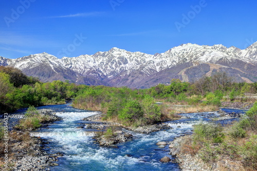 新緑の松川と白馬三山（松川大橋より）