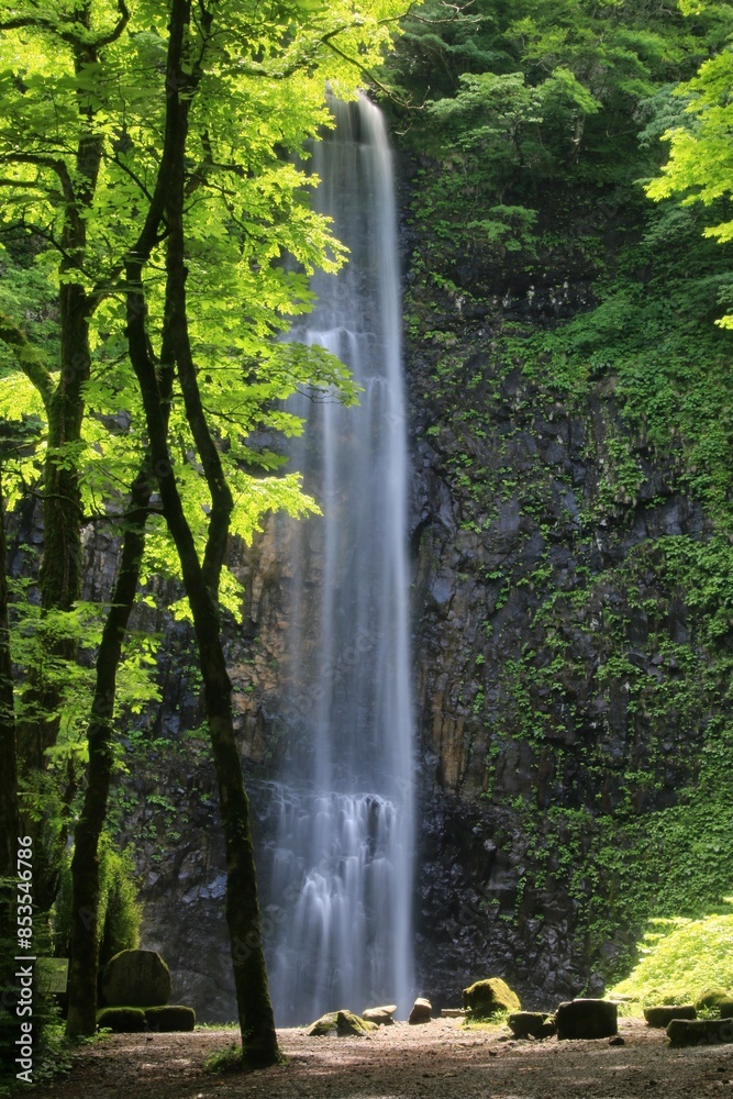 Fototapeta premium 玉簾の滝・たますだれのたき（山形県・酒田市）