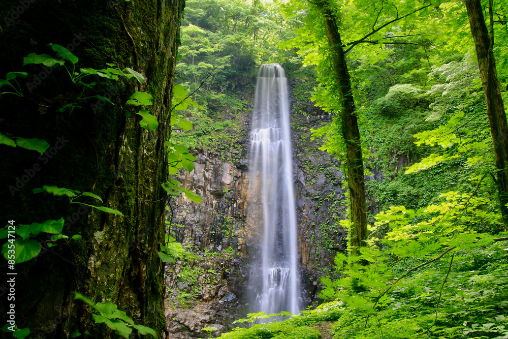 Obraz premium 玉簾の滝・たますだれのたき（山形県・酒田市）
