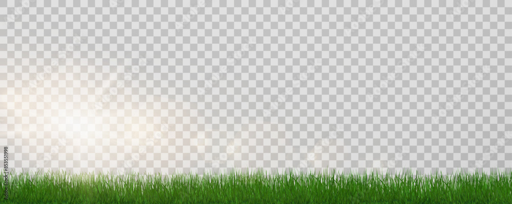 Grass border, vector illustration. Vector grass, lawn. Grass png, lawn ...