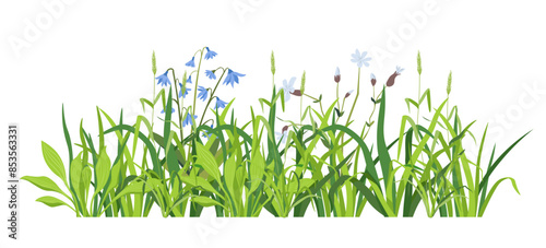 Lush Greenery and Flowers Vector