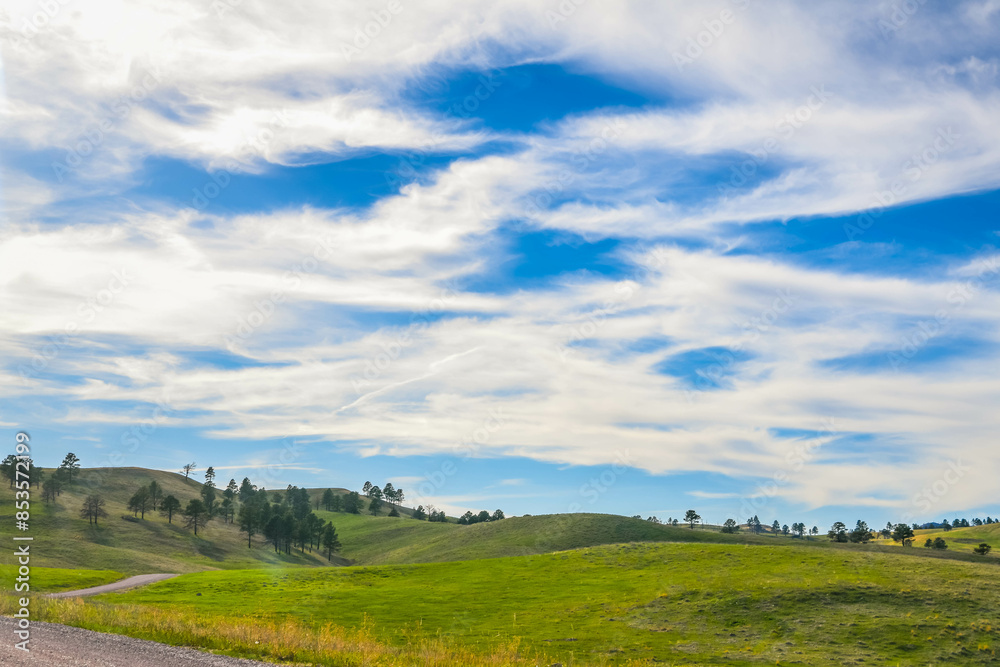 Fototapeta premium An overlooking view of nature in Custer State Park, South Dakota