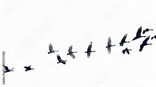 Flock of Birds in Flight, Generative AI © studio clever