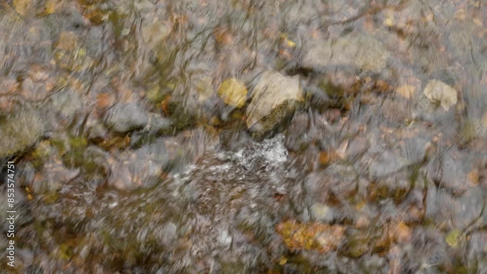 Clear transparent water flow of a wild mountain rapid river with sparkling moving ripples close up Clear transparent water flow of a wild mountain rapid river with sparkling moving ripples close up