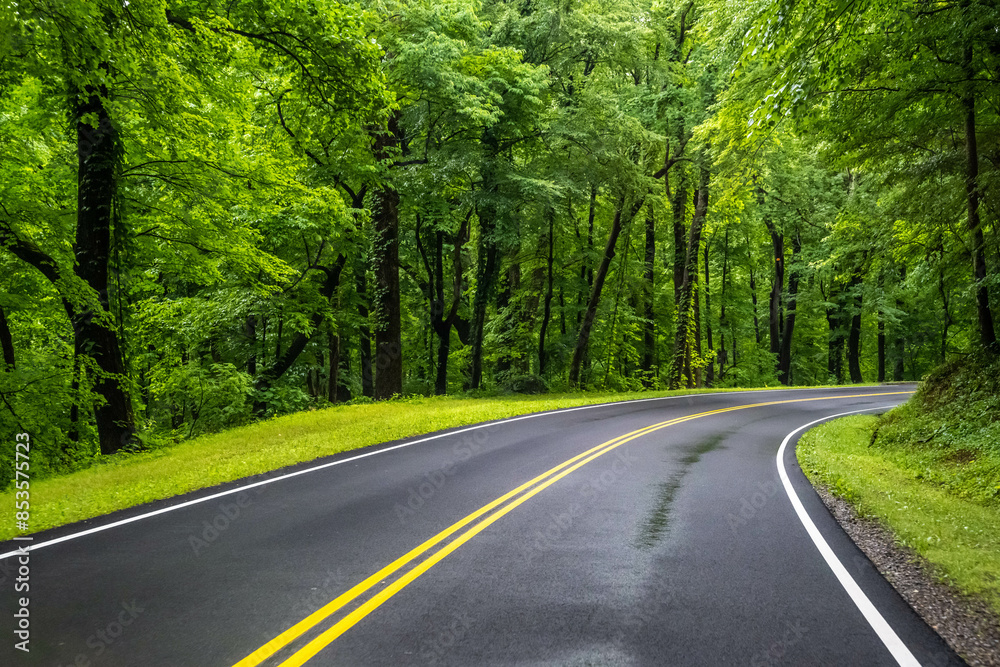 Obraz premium A long way down the road going to Great Smokey Mountains NP, Tennessee
