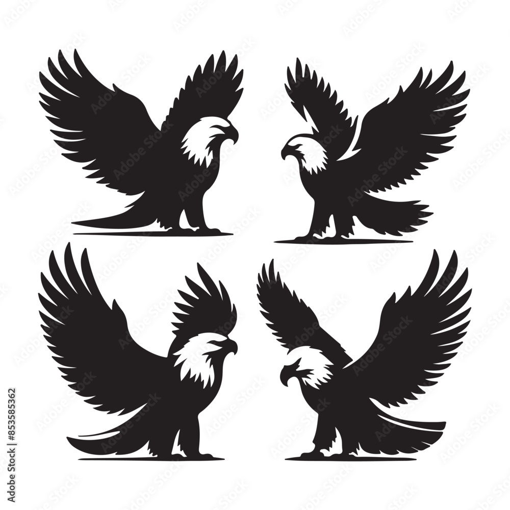 Fototapeta premium vector Bald Eagle set silhouette black in white background