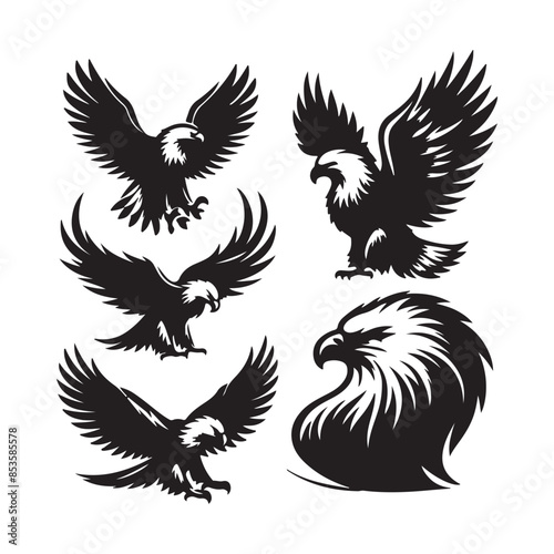 vector Bald Eagle set silhouette black in white background