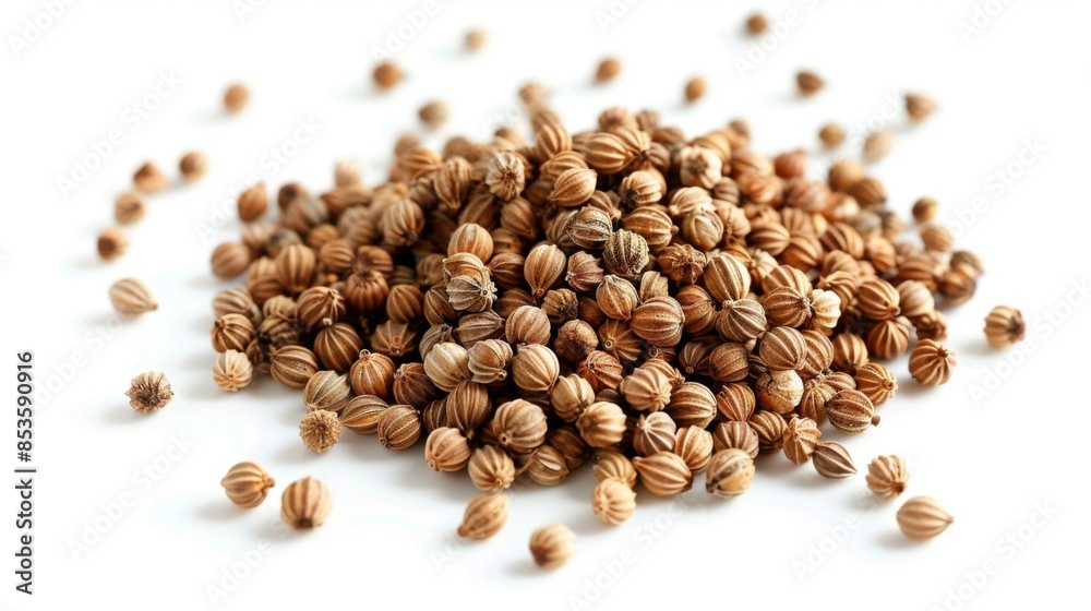 Coriander Seeds Close-Up, Generative AI Coriander Seeds Close-Up, Generative AI