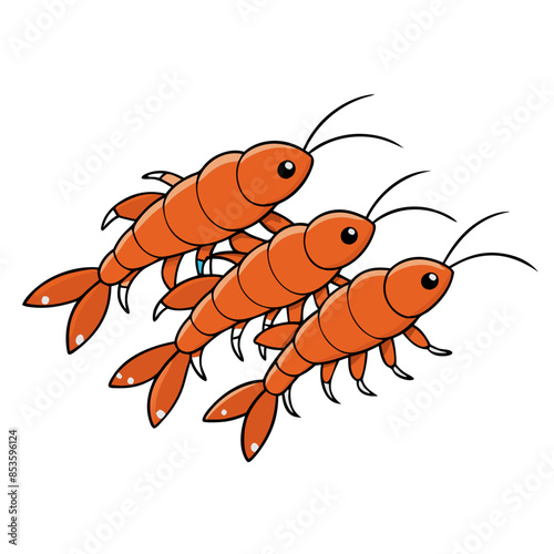  illustration of a krill, a small, shrimp-like crustacean that is a crucial food source for many marine animals