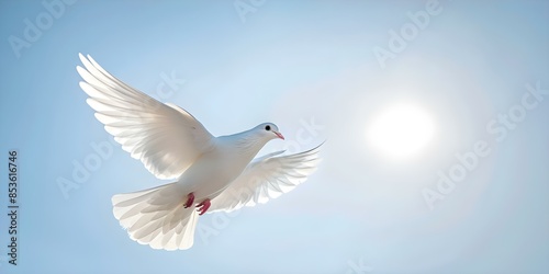 Wallpaper Mural A white dove symbolizing peace illuminated by sunlight against a blue sky. Concept White Dove, Peace Symbol, Sunlight, Blue Sky, Illuminated Torontodigital.ca