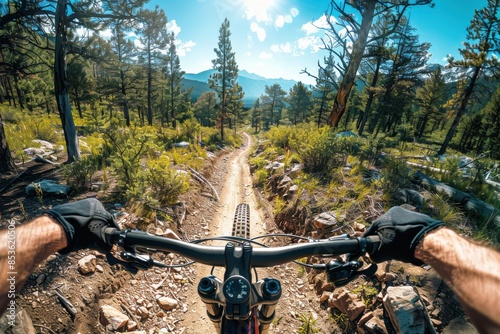 Mountain Biking Trail Adventure
