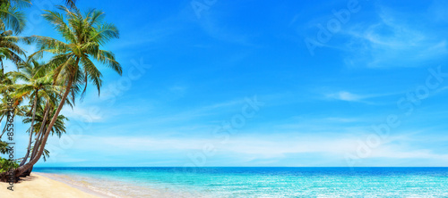 Fototapeta Naklejka Na Ścianę i Meble -  Sea beach panorama, tropical island panoramic landscape, turquoise ocean water, coconut palm tree leaves, sand blue sky sun white cloud, summer holiday, vacation, travel, Caribbean, Thailand, Maldives