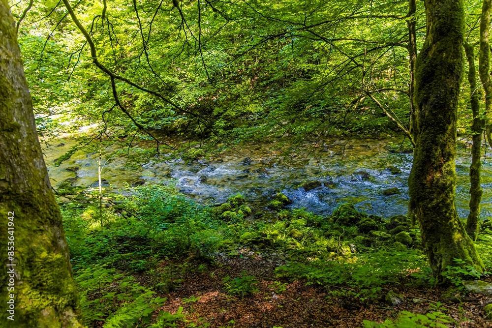Source of the Kamachnik Stream in the Gorski Kotar region, Croatia