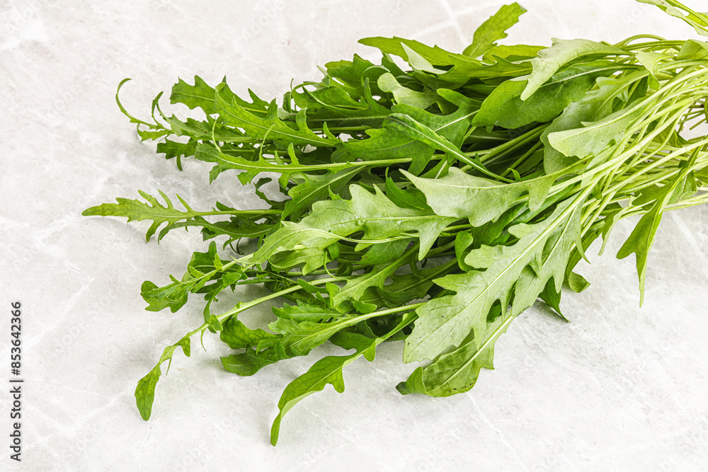 Fresh tasty natural organic rucola Fresh tasty natural organic rucola
