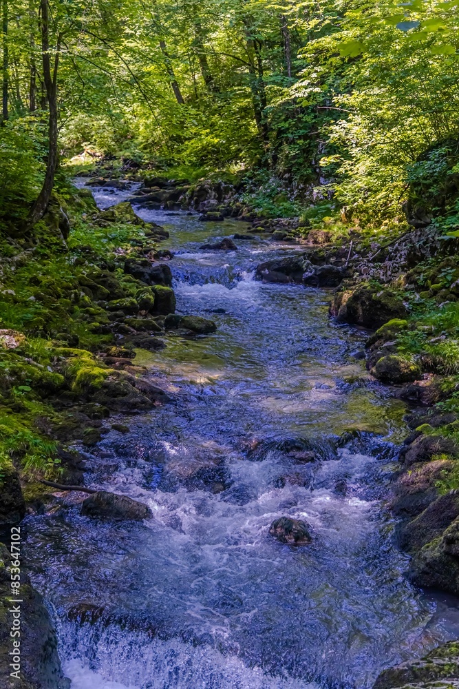 Source of the Kamachnik Stream in the Gorski Kotar region, Croatia Source of the Kamachnik Stream in the Gorski Kotar region, Croatia