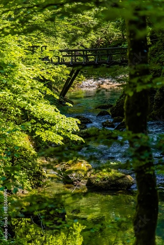 Source of the Kamachnik Stream in the Gorski Kotar region, Croatia photo