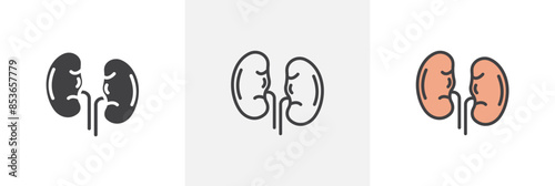 Kidneys flat thin line icon collection.