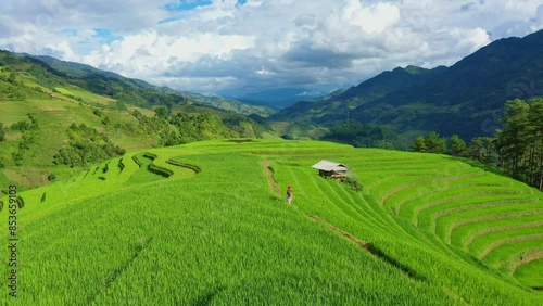 Drone view of the Vietnam rice fields in season because they are planted and green on the mountains,Mu cang chai.and Asian women wearing traditional Vietnamese clothes