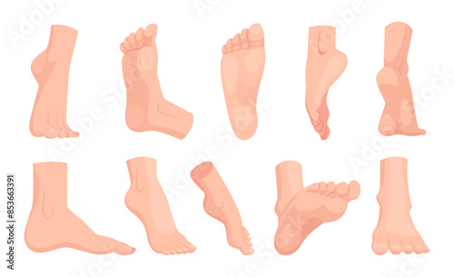 Human foot. People anatomy illustration barefoot walking legs exact vector pictures of different viewpoints of feet