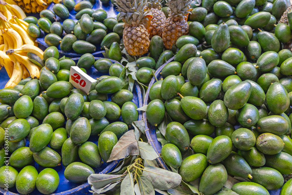 Large Bunch of Green Avocados at Farmers Market Turkey Large Bunch of Green Avocados at Farmers Market Turkey