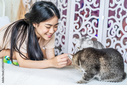 Asian young woman play with the fur little cat with happiness at home. Beautiful female sit on bed, spend leisure time stroking grey kitten close-up, Little best friends. Happy domestic animals