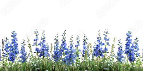 blue delphinium and grass border isolated on white background