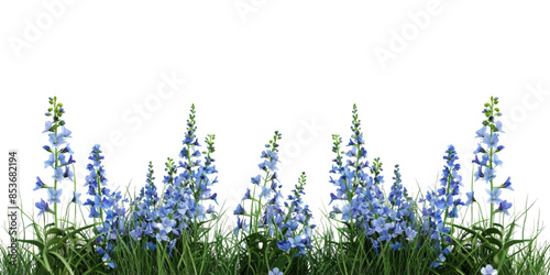 blue delphinium and grass border isolated on white background
