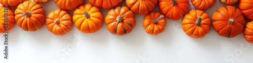 Orange pumpkins of different sizes on a white background. Autumn card or banner. Place for text. photo