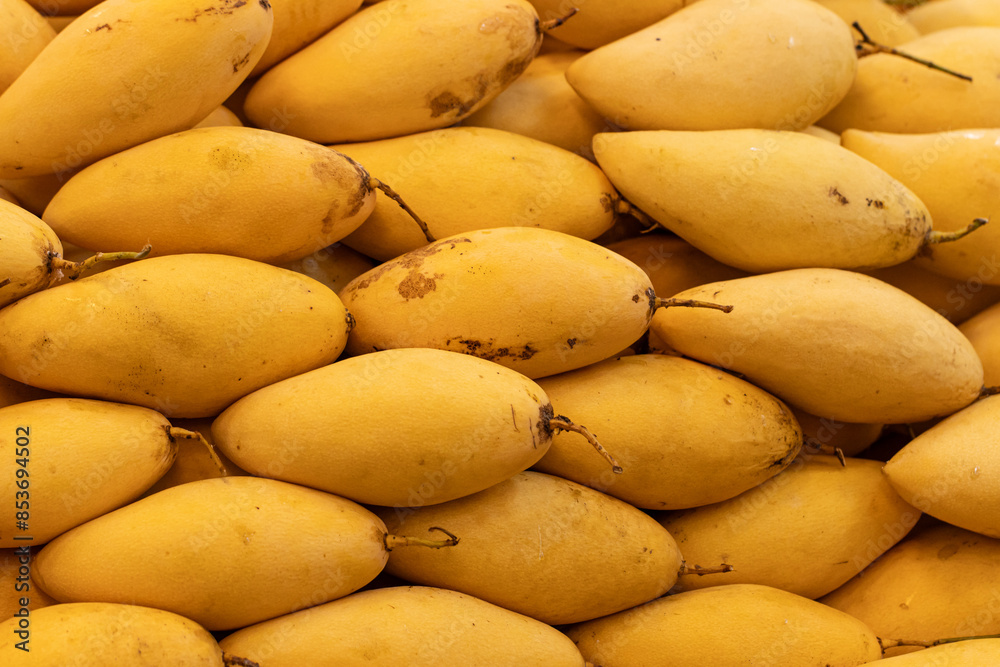 ripe yellow mango as background. ripe yellow mango as background.