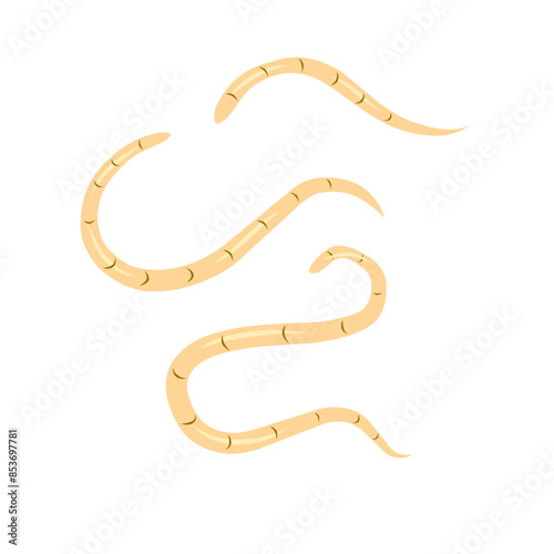 intestinal worm vector icon