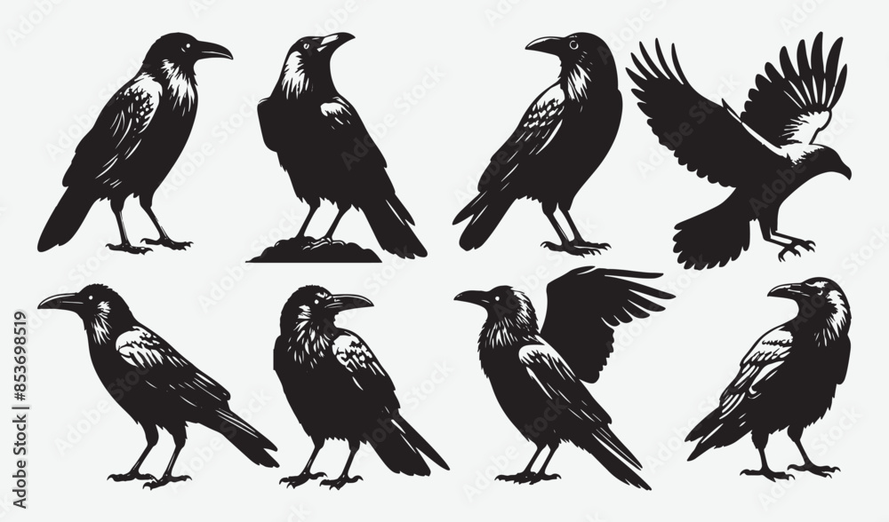 Fototapeta premium Birds Silhouette Vector Collection Hand drawn