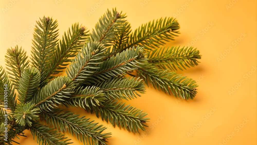Obraz premium Beautiful green fir tree branches close up. Christmas and winter concept, close up of Christmas trees branches green texture background. 
