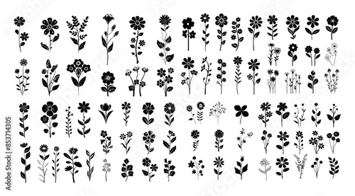 Wildflowers black silhouettes vector set. Buds petals stems shoots plants meadow grass vegetation icons isolated on white background