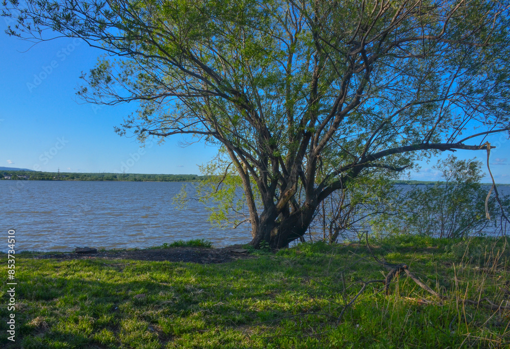 Luchegorsk reservoir in summer scenic view (Primorsky krai, Russia) Luchegorsk reservoir in summer scenic view (Primorsky krai, Russia)