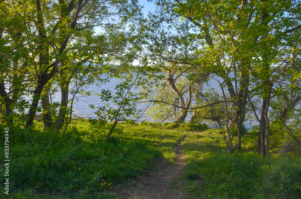Luchegorsk reservoir in summer scenic view (Primorsky krai, Russia) Luchegorsk reservoir in summer scenic view (Primorsky krai, Russia)