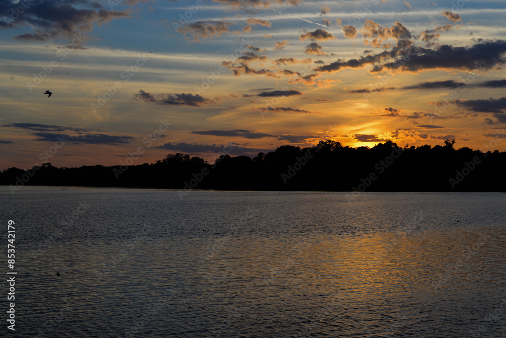 sunset by the pond in summer sunset by the pond in summer