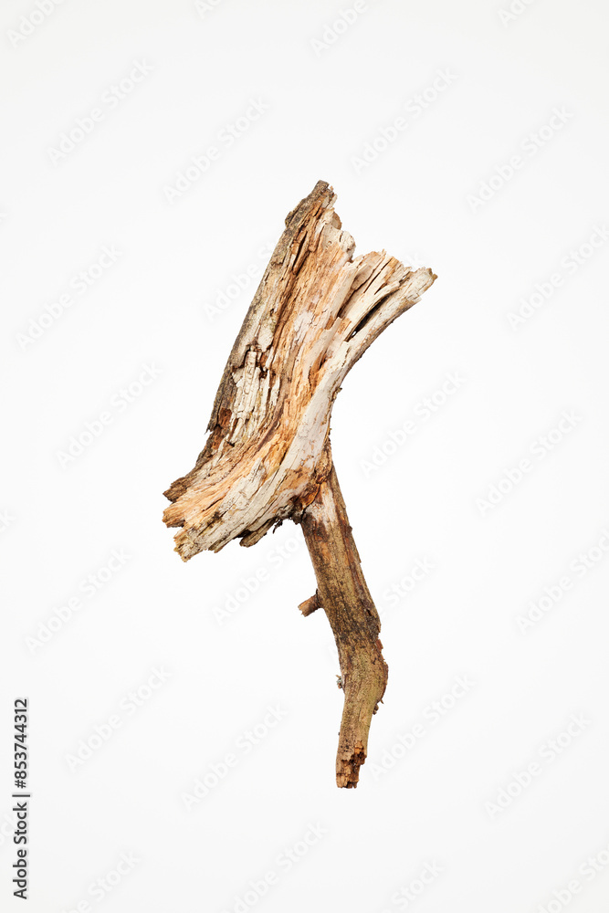 Broken wooden stick isolated on white background Broken wooden stick isolated on white background