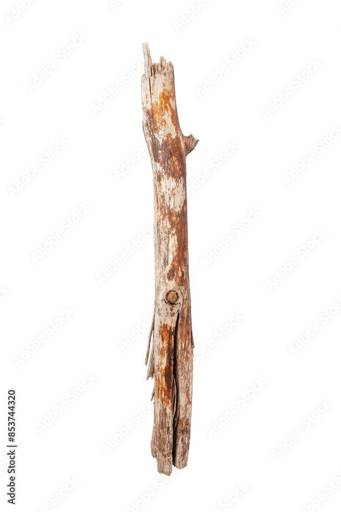 Fototapeta premium Broken wooden stick isolated on white background