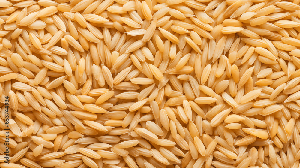 Unpeeled Barley Grains, A Golden Harvest Unpeeled Barley Grains, A Golden Harvest